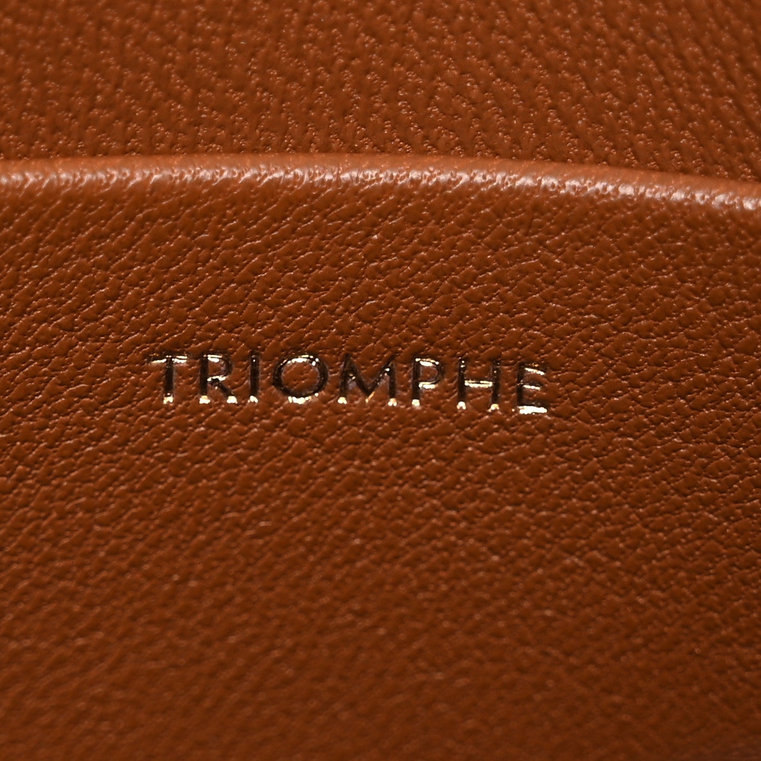 Celine Textile Natural Calfskin Teen Triomphe White Tan 9 of 16