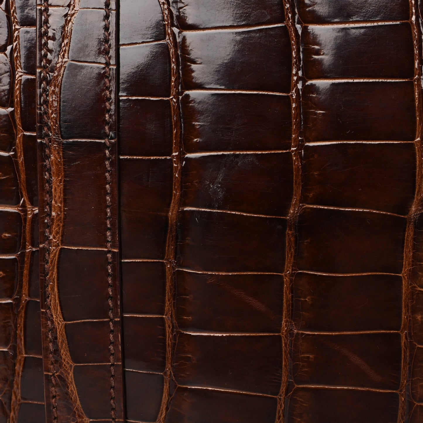 Shiny Porosus Crocodile Birkin 35 Miel