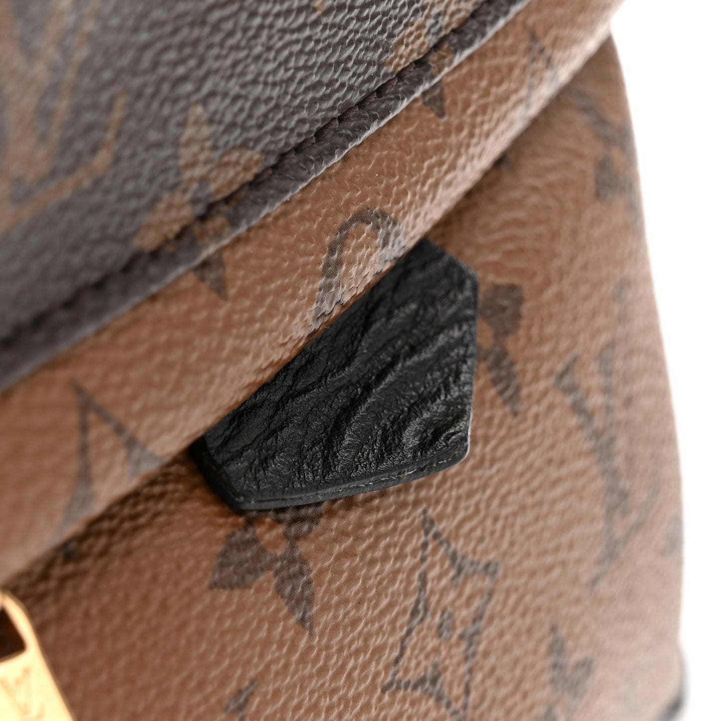 LOUIS VUITTON Reverse Monogram Palm Springs Backpack PM