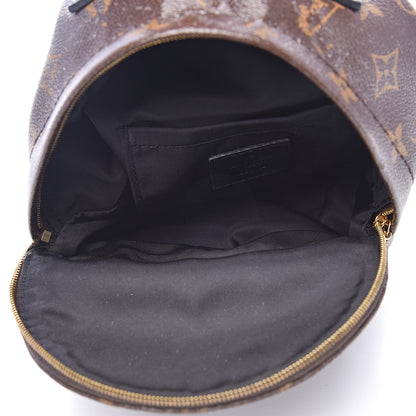 Louis Vuitton Monogram Palm Springs Backpack Mini 5 of 14