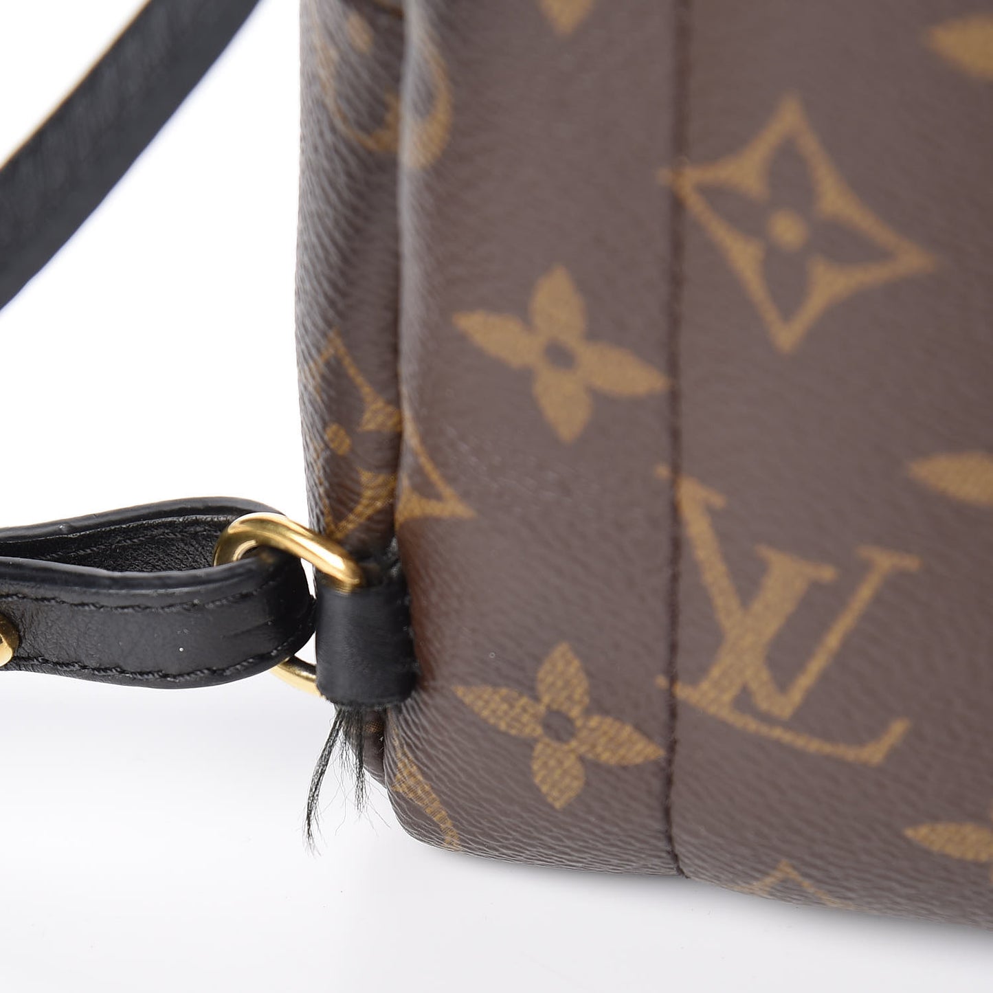Monogram Palm Springs Backpack Mini