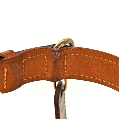Louis Vuitton Monogram Baxter Dog Collar MM 7 of 7