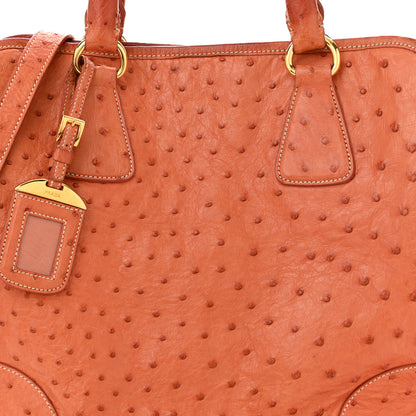 Prada Ostrich  Tote Cognac 9 of 13