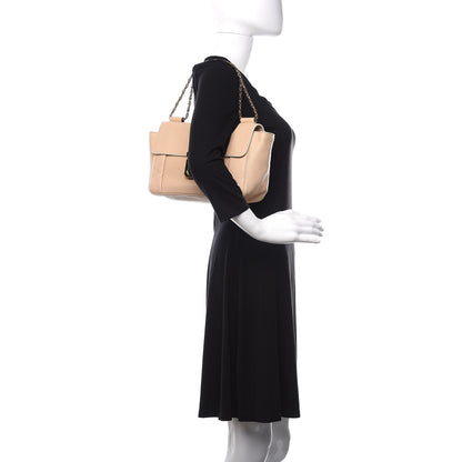 Chloe Goatskin Medium Elsie Shoulder Bag Biscotti Beige 2 of 14