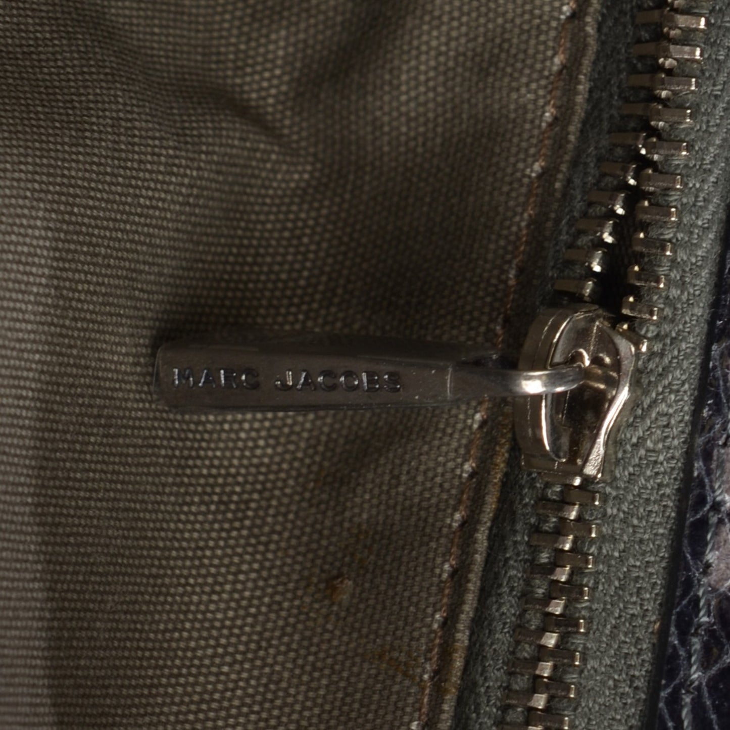 Python Embossed Stardust The Large Single Flap Grey