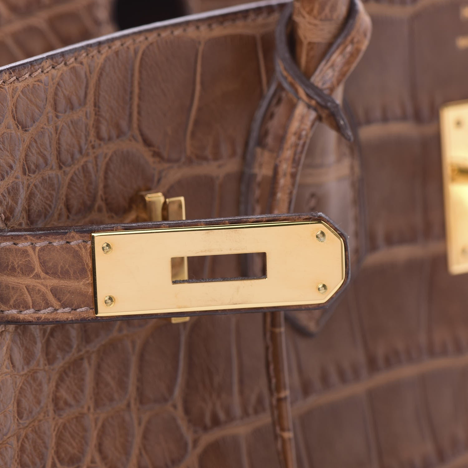 Hermes Matte Alligator Birkin 30 Alezan 24 of 29