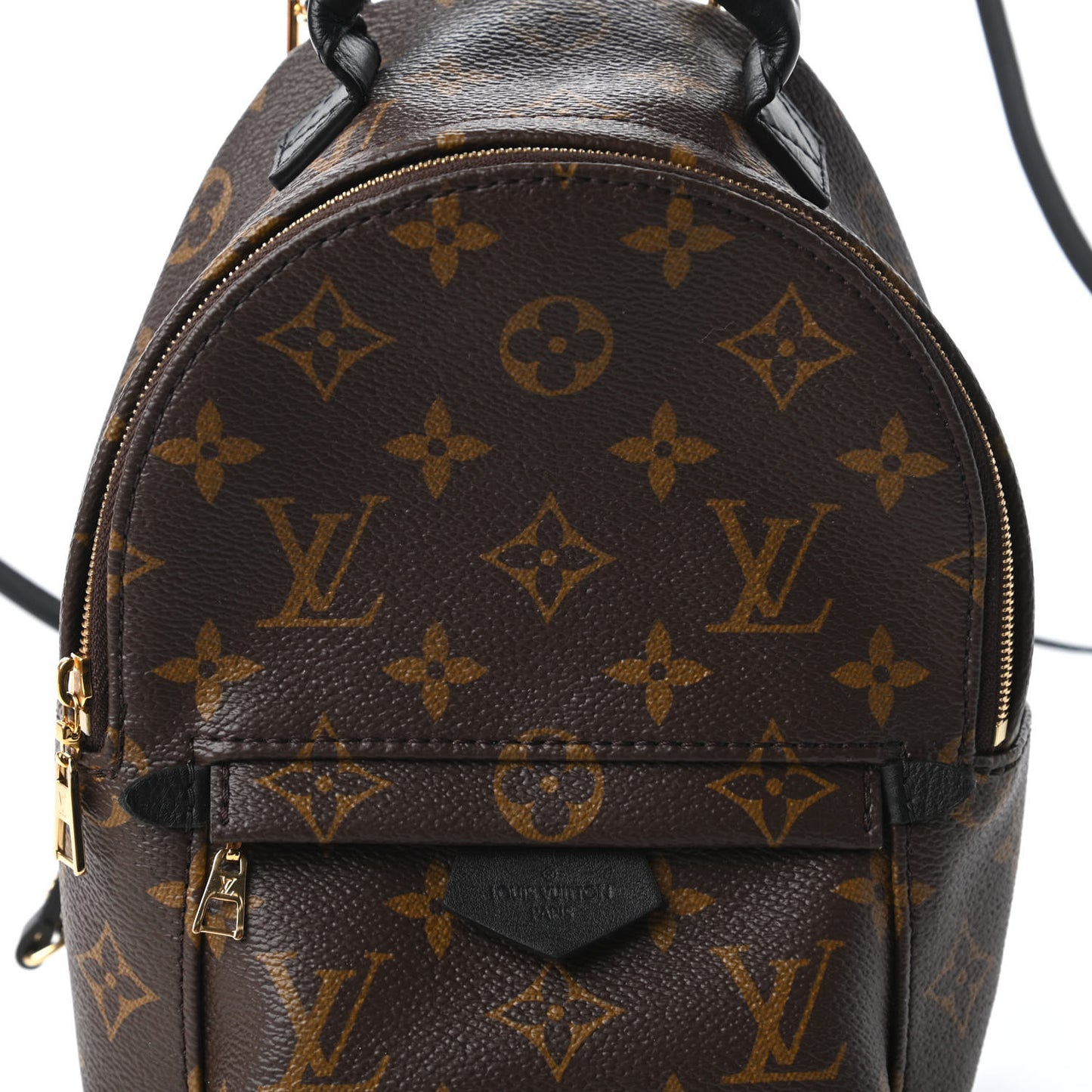 Monogram Palm Springs Backpack Mini