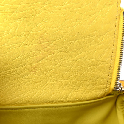 Hermes Ostrich Mini Lindy 20 Jaune Citron 11 of 11