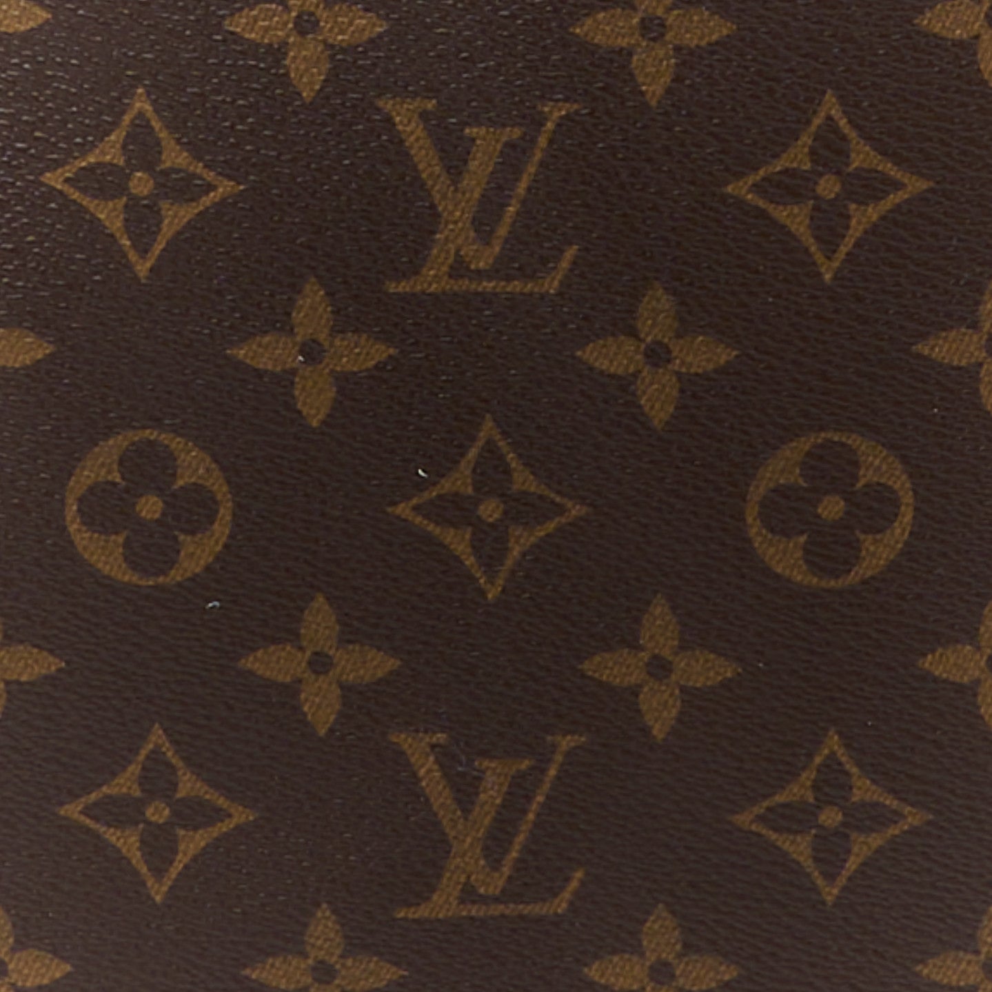 Monogram Delightful PM