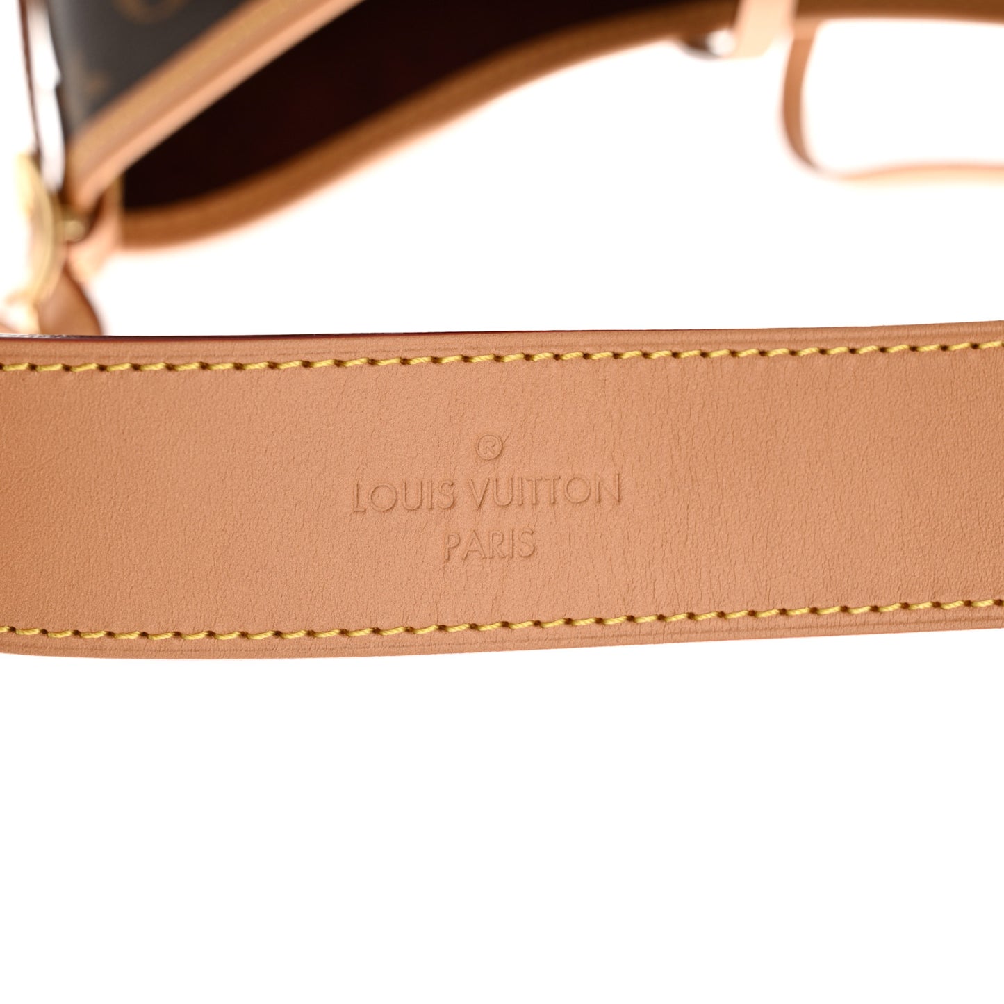 Monogram CarryAll PM