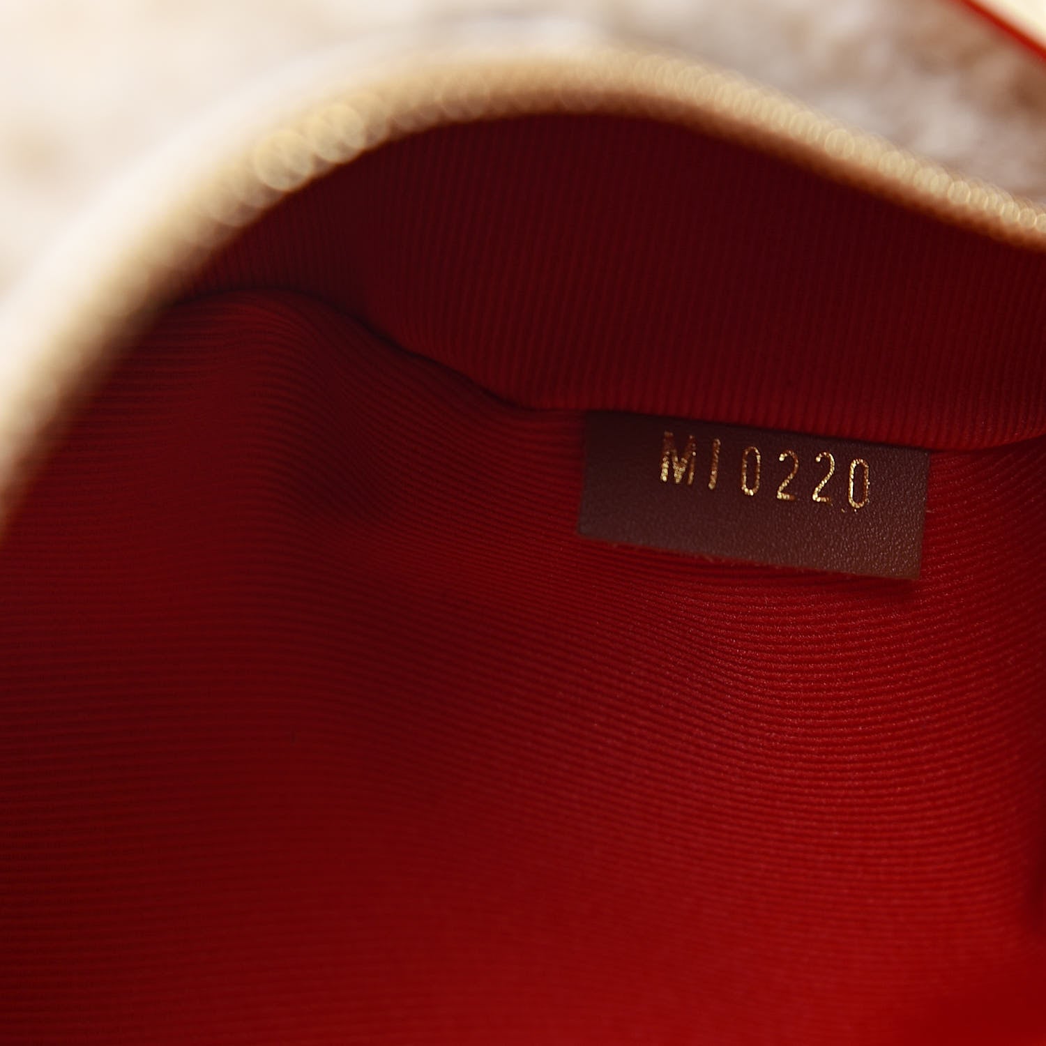 Louis Vuitton Monogram Teddy Bumbag 7 of 10
