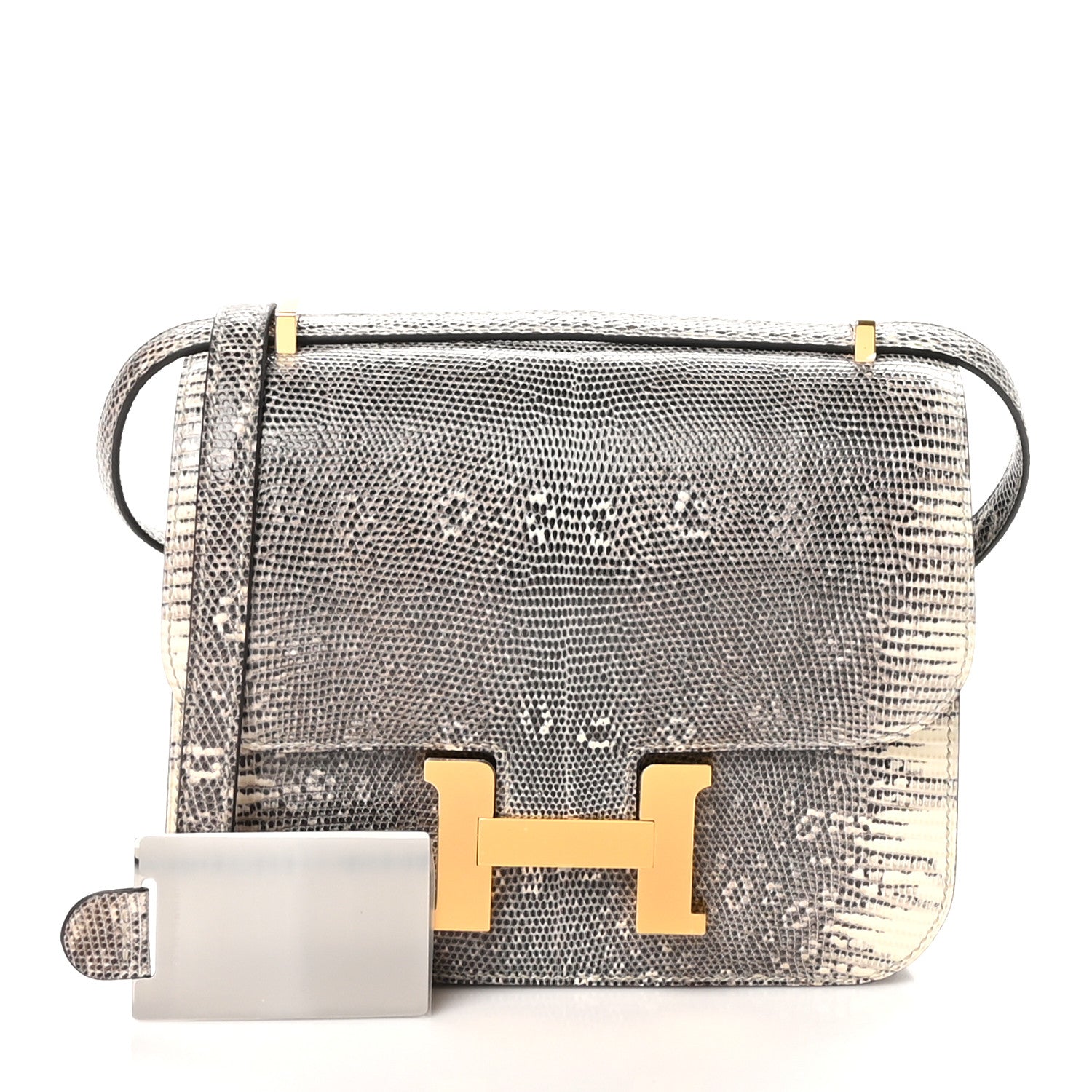 Hermes Lizard Constance 18 Ombre 3 of 13
