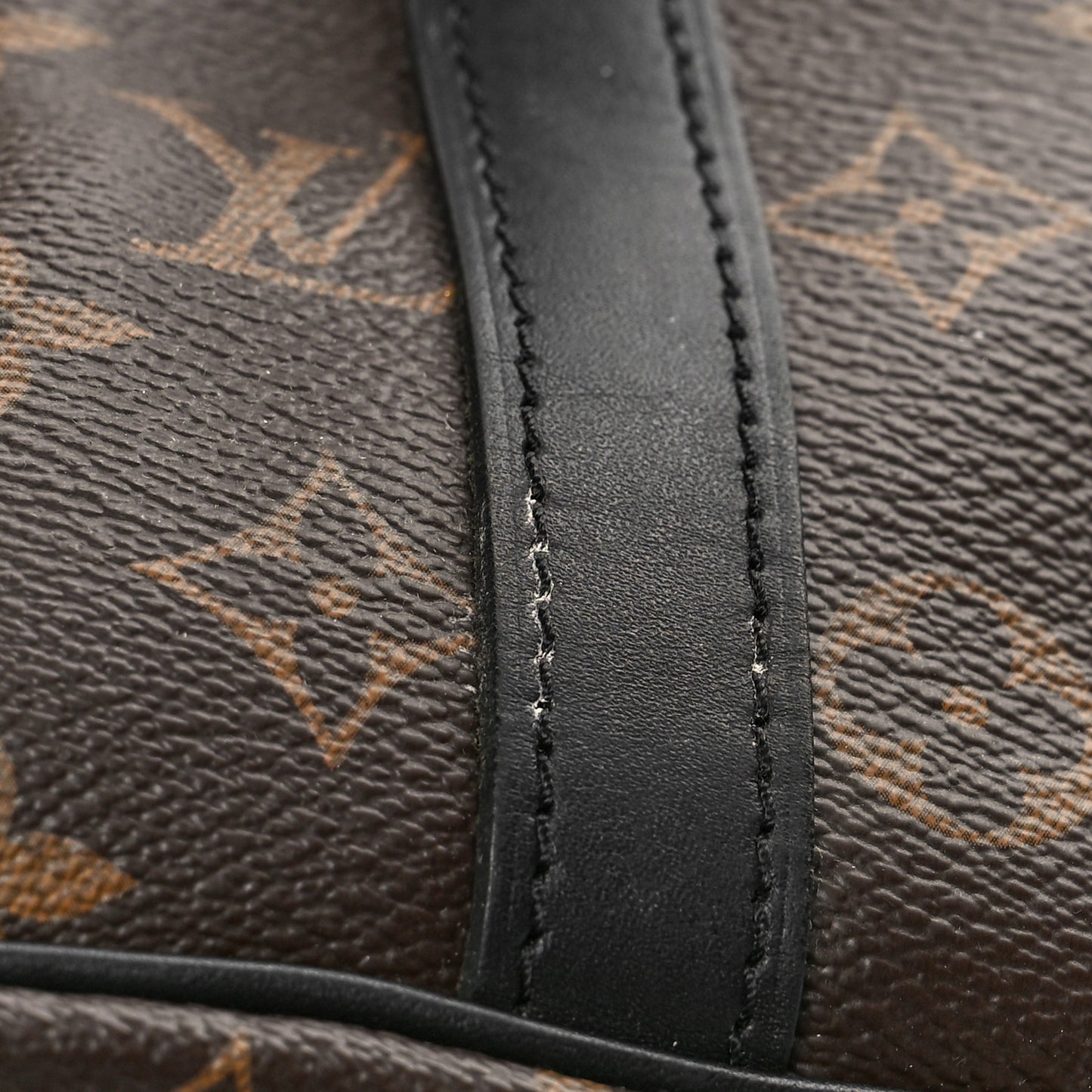 Monogram Macassar Christopher PM Backpack