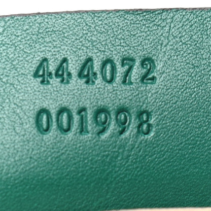 Gucci Calfskin Web Embroidered Small Dionysus Hobo Emerald Green 7 of 9