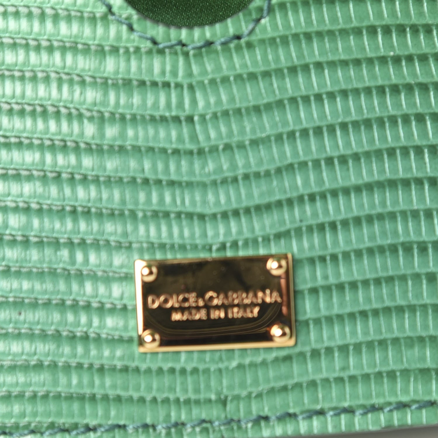 Dolce & Gabbana Iguana Calfskin Embossed Crossbody Bag Green 8 of 9