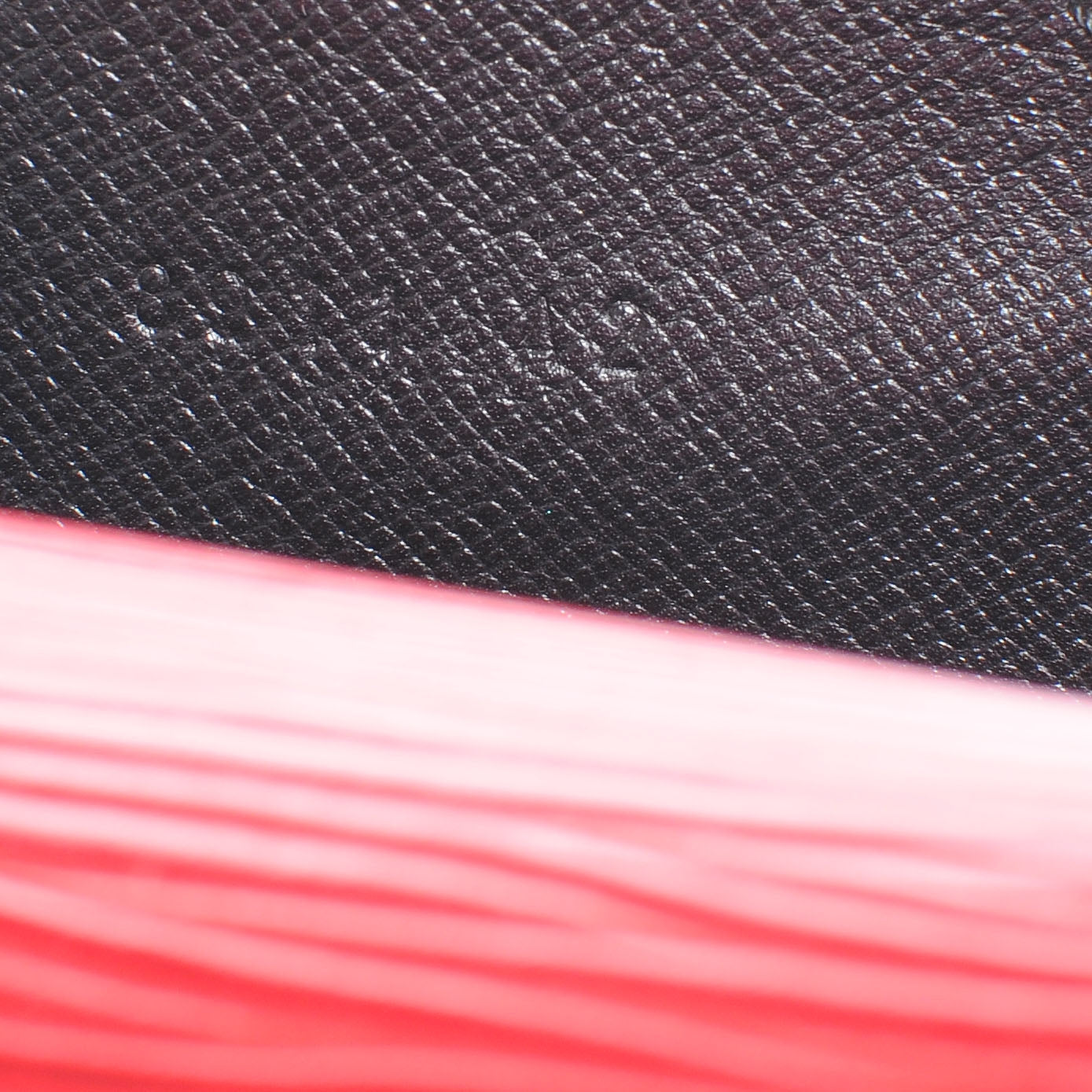 Epi Senator Document Case Red