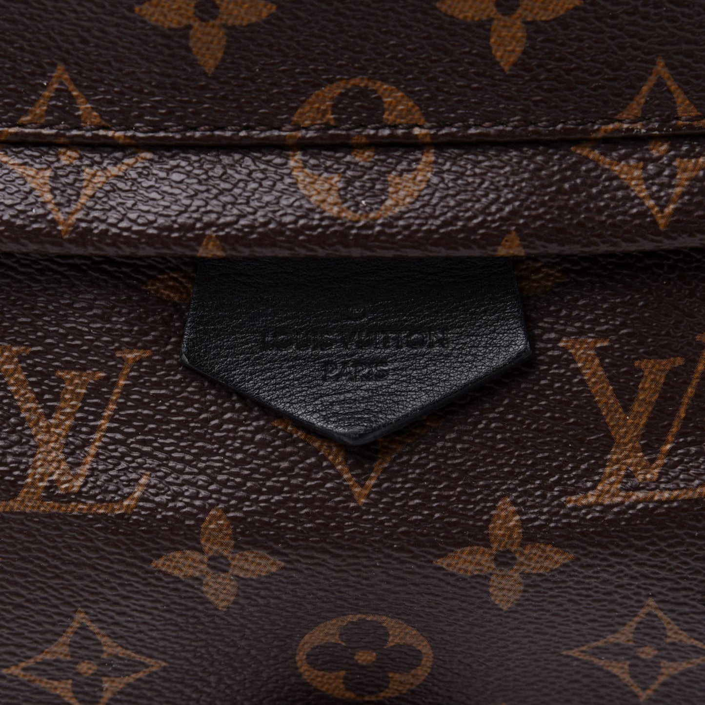 Monogram Palm Springs Backpack MM