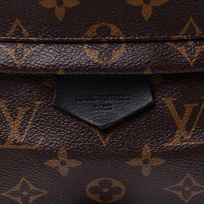 Louis Vuitton Monogram Palm Springs Backpack MM 8 of 10