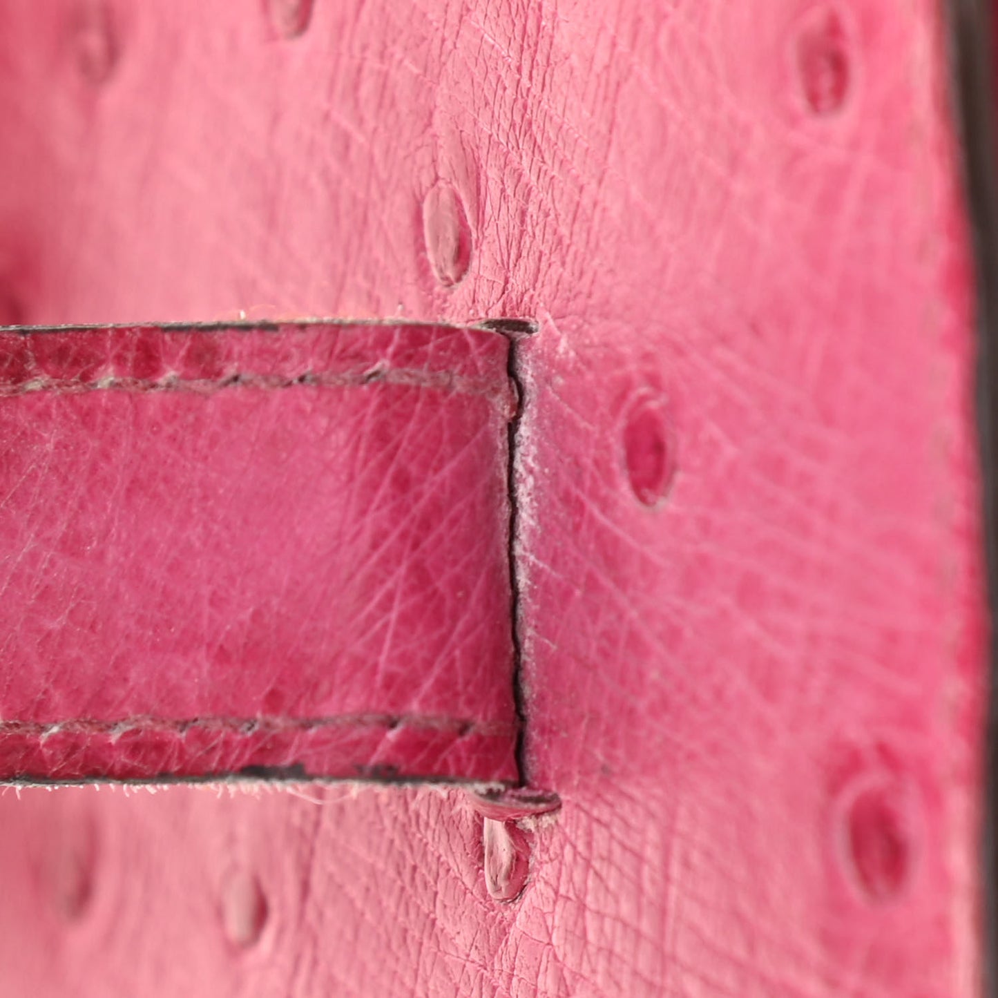 Ostrich Bearn Wallet Fuchsia