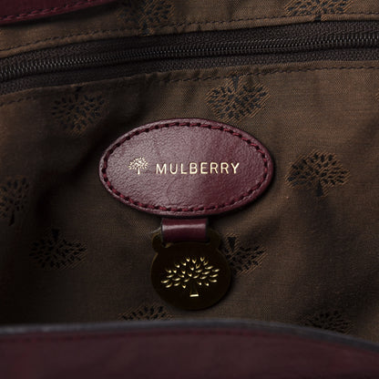 Mulberry Soft Buffalo Medium Alexa Conker 8 of 13