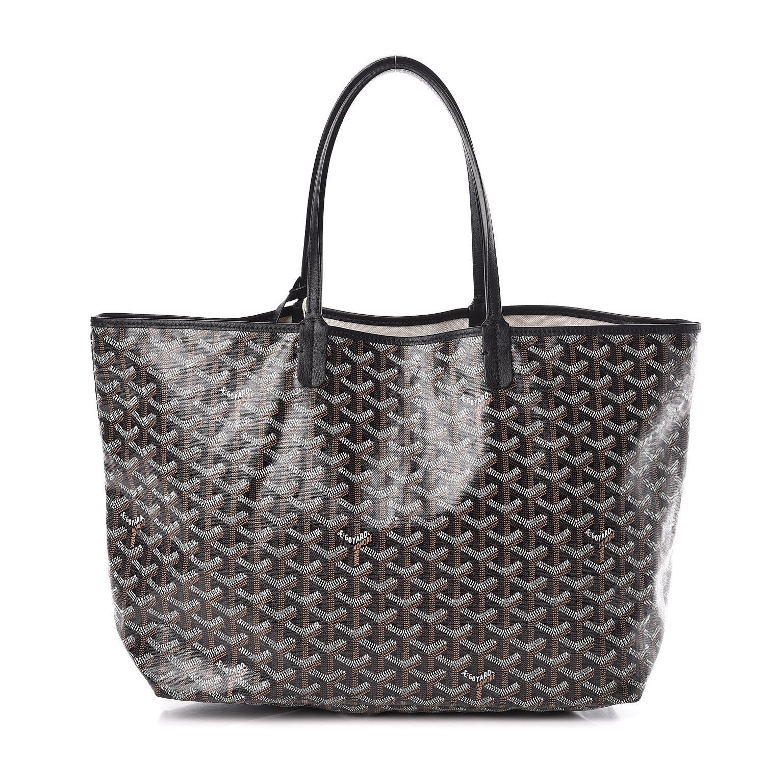 Goyard Goyardine Saint Louis PM Black 1 of 10