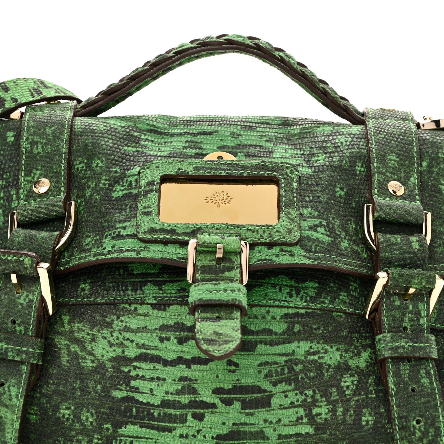 Lizard Print Travel Day Grass Green