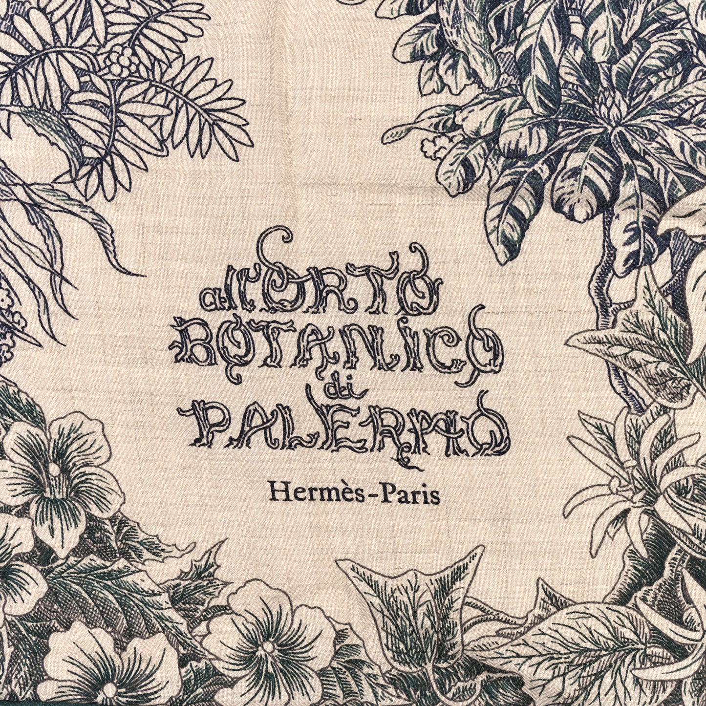 Cashmere Silk All 'Orto Botanico Di Palermo Shawl 140 Vert Loden Naturel Encre