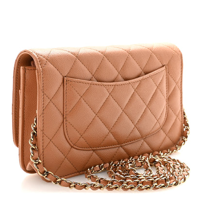Chanel Caviar Quilted CC Turnlock Wallet On Chain WOC Brown 3 of 12
