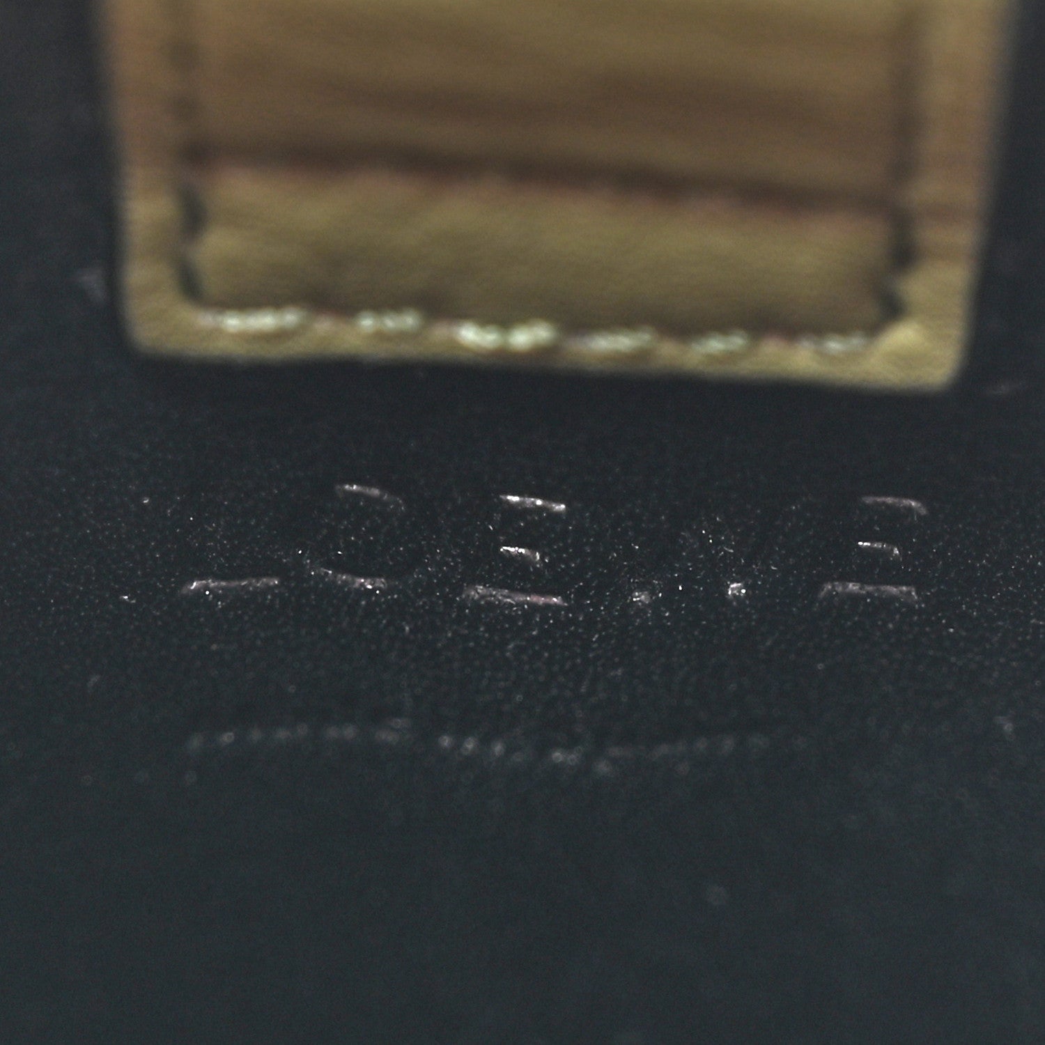 Loewe Calfskin Elephant Pouch Crossbody Bag Avocado 6 of 12