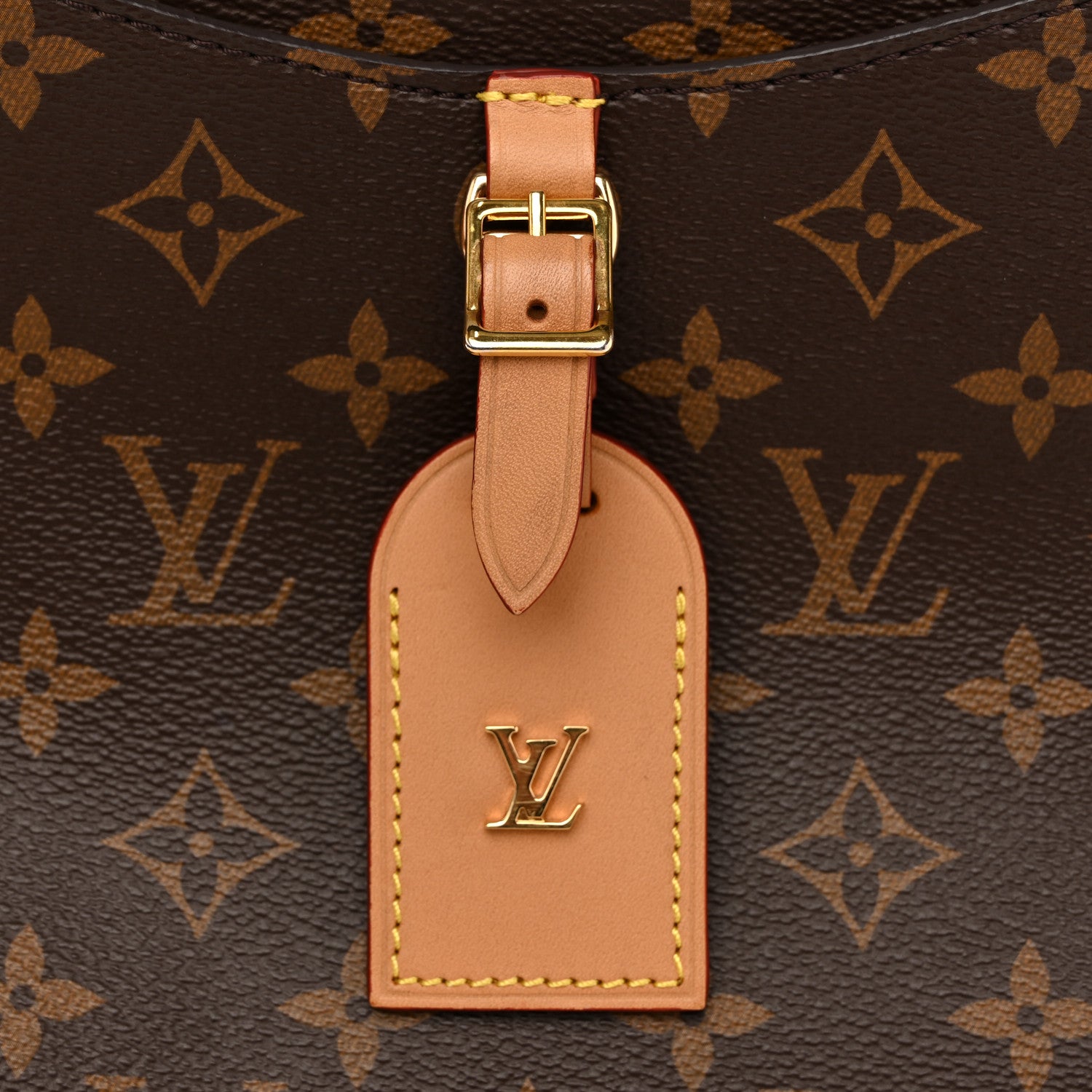 Louis Vuitton Monogram Odeon PM Natural 12 of 13