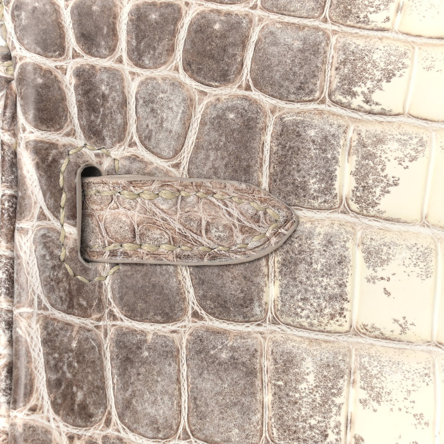 Matte Niloticus Crocodile Himalaya Birkin 25 Blanc