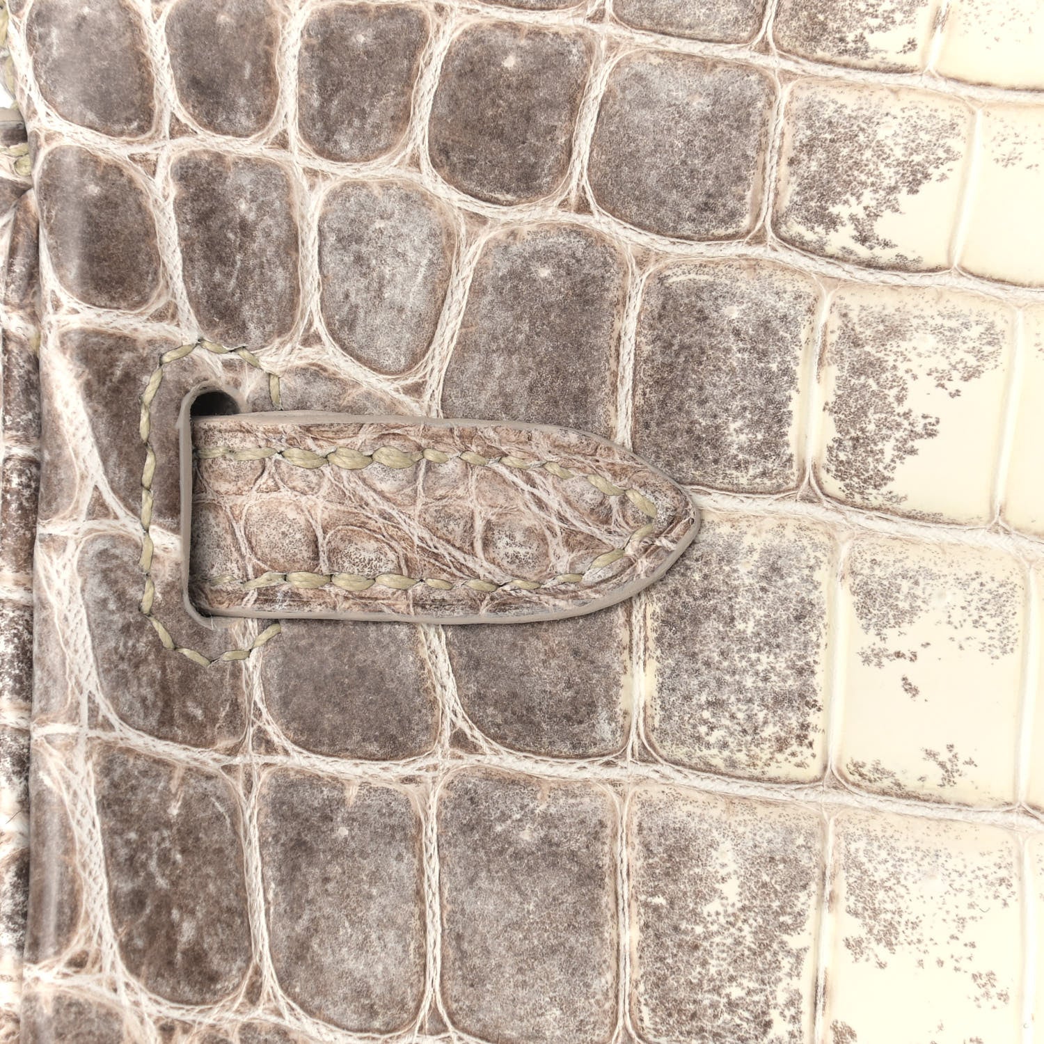 Hermes Matte Niloticus Crocodile Himalaya Birkin 25 Blanc 7 of 31