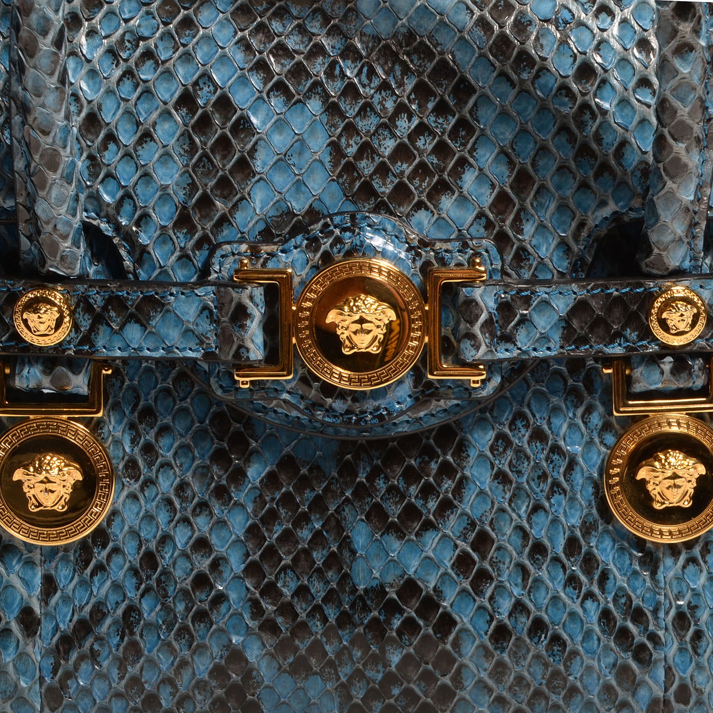 Watersnake Embossed Small Signature Tote Saphire Gold