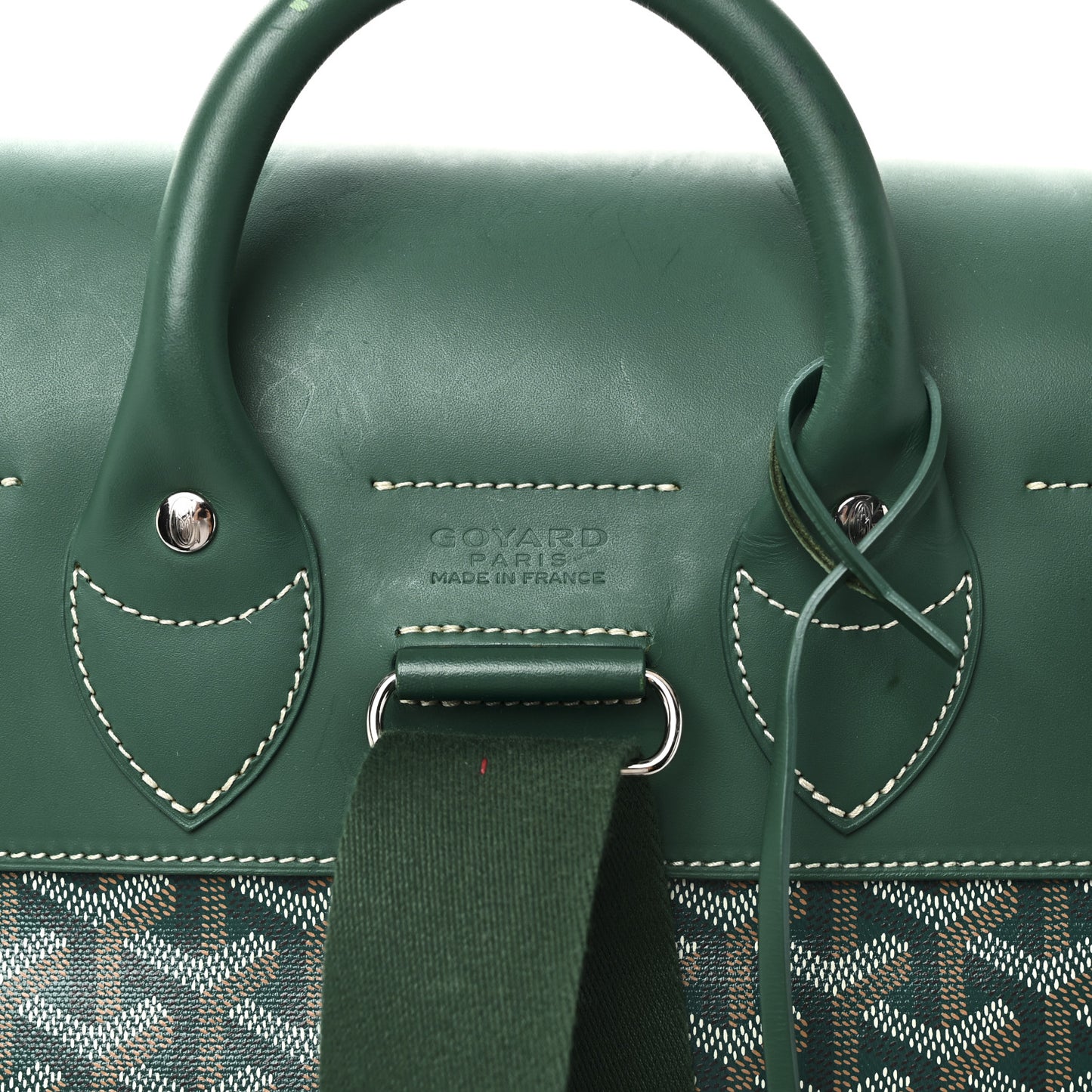 Goyardine Calfskin Alpin MM Backpack Green