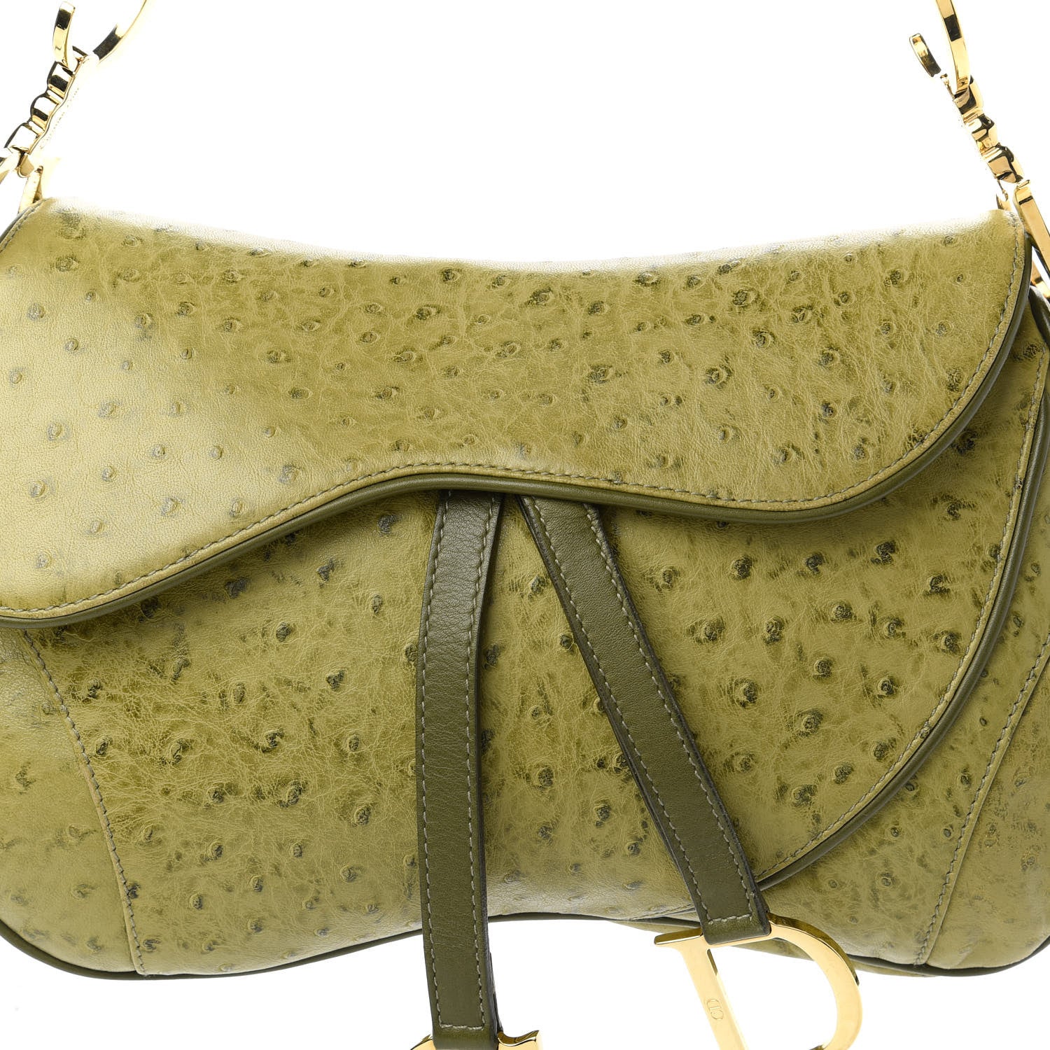 Christian Dior Ostrich Double Saddle Bag Green 10 of 11