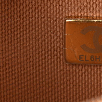 Chanel Lambskin Quilted Chanel 19 Wallet On Chain WOC Brown 11 of 12