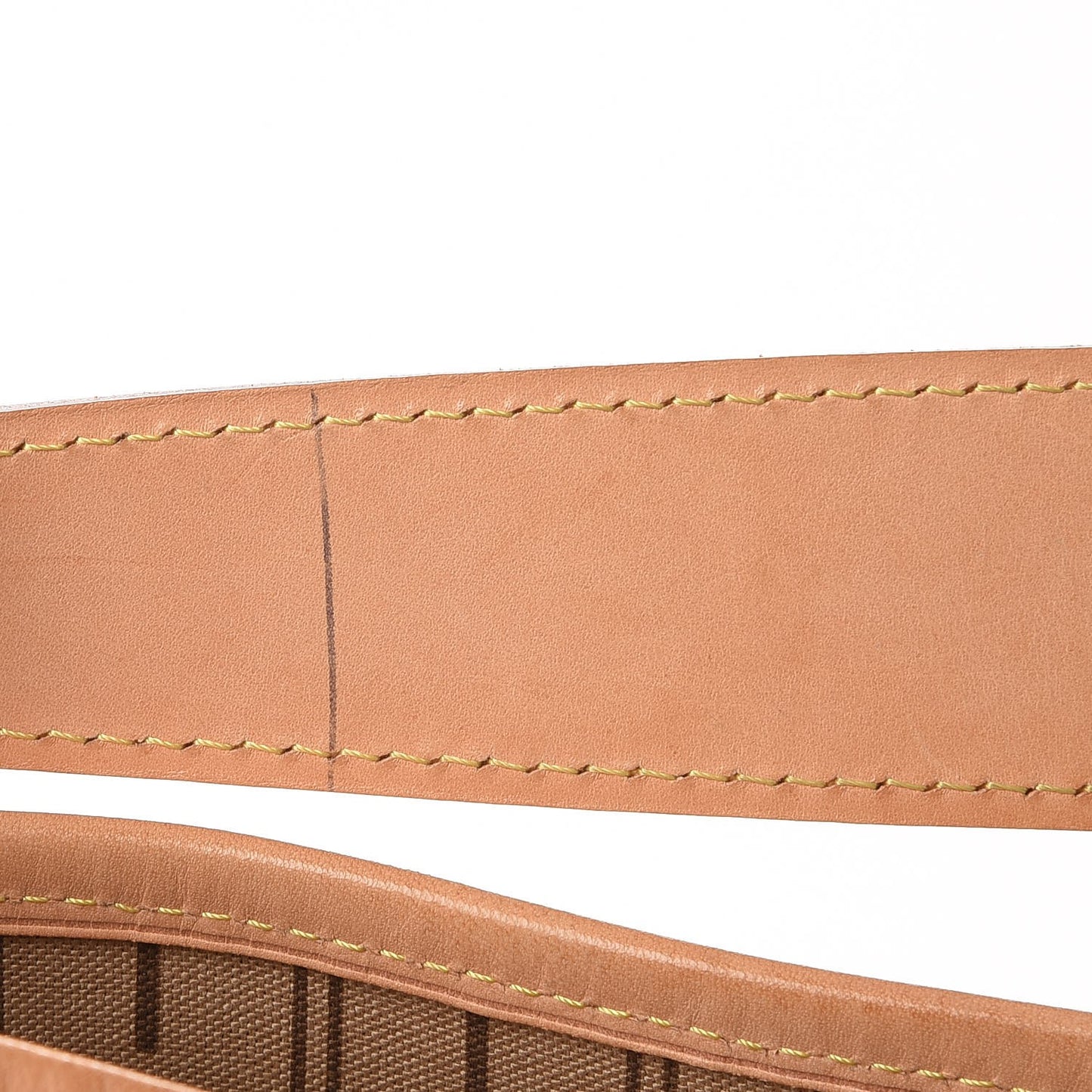 Monogram Delightful PM