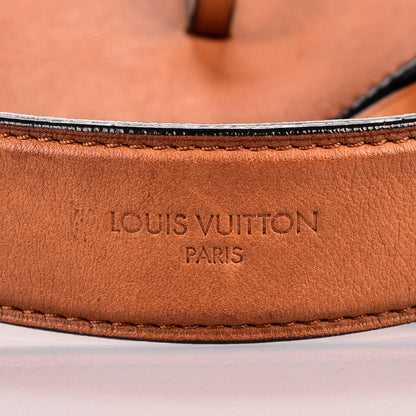 Louis Vuitton Smooth Calfskin NN14 Cuir Nuance GM 8 of 8