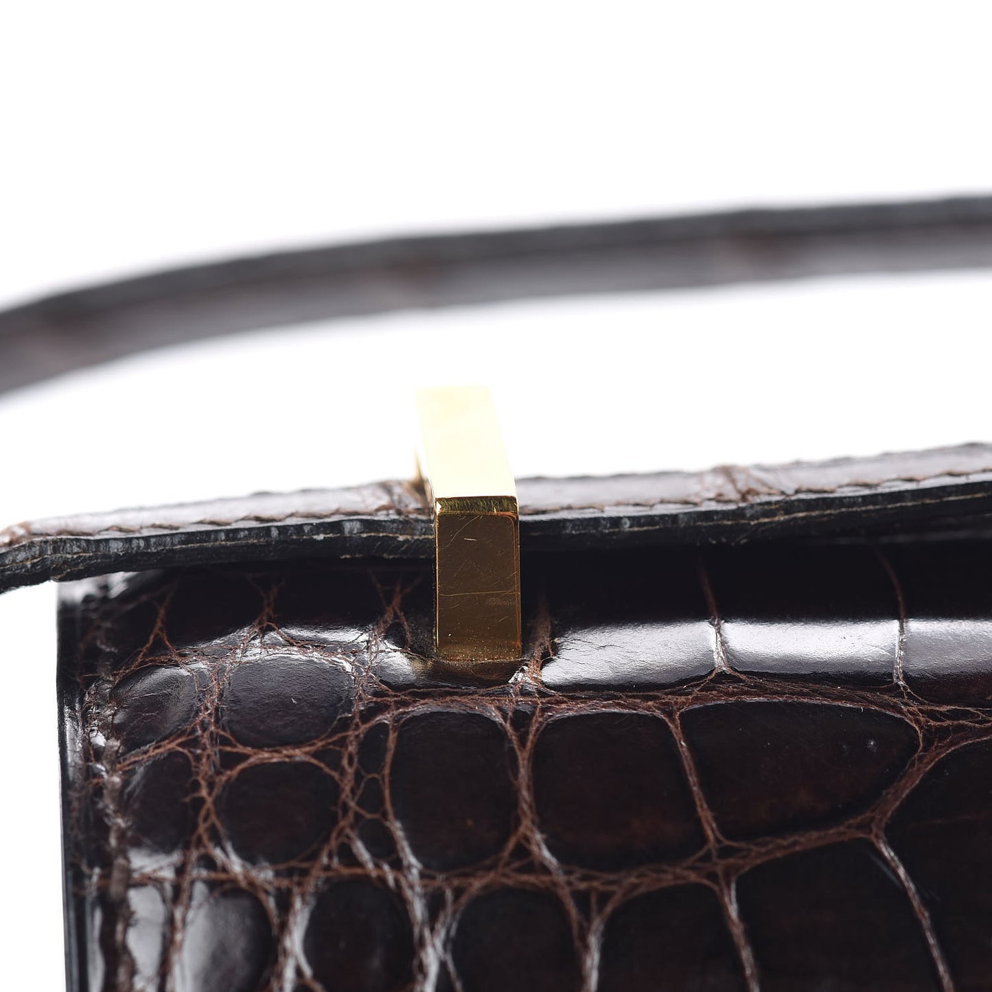 Shiny Alligator Constance 18 Ebene
