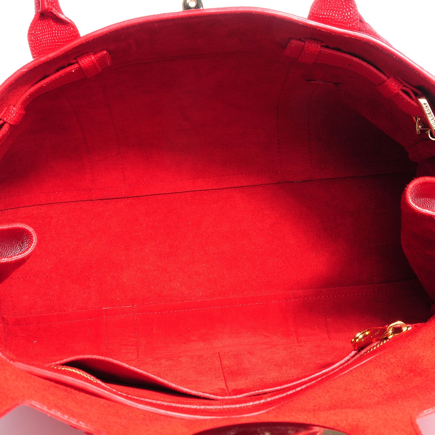 Textured Lizard Print Bayswater Red