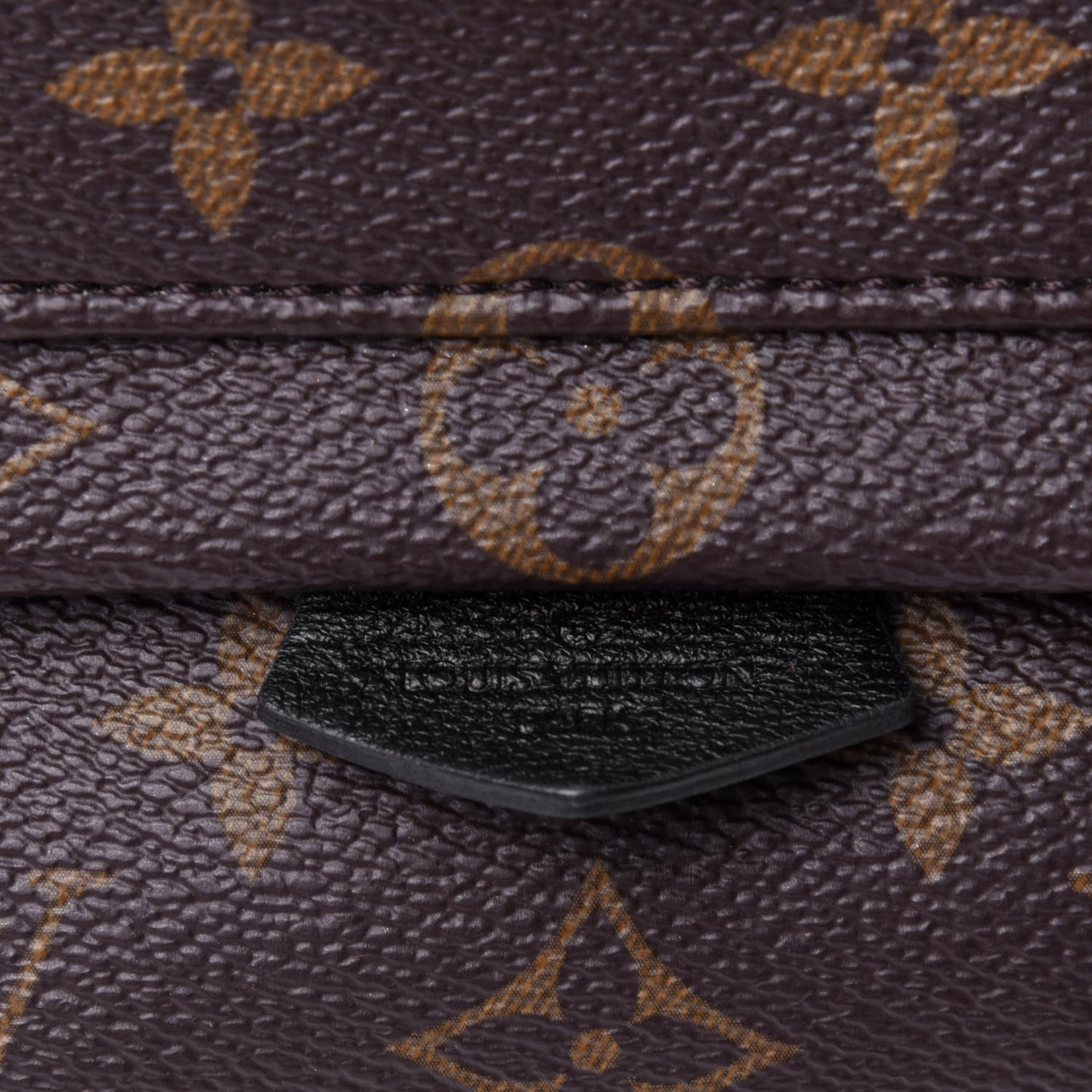 Monogram Palm Springs Backpack Mini