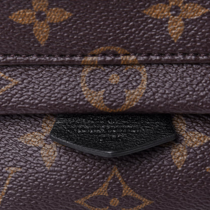 Louis Vuitton Monogram Palm Springs Backpack Mini 10 of 10