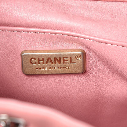 Chanel Python Calfskin Small Gabrielle Bucket Pink 7 of 10