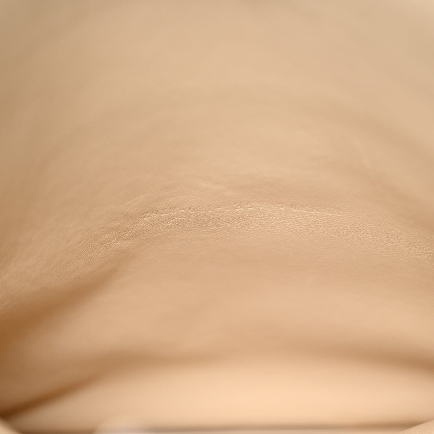 Vitello Seta Glazed Fabric FF 1974 Large Peekaboo X-Lite Maya