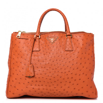 Prada Ostrich Double Zip Tote Papaya 1 of 14