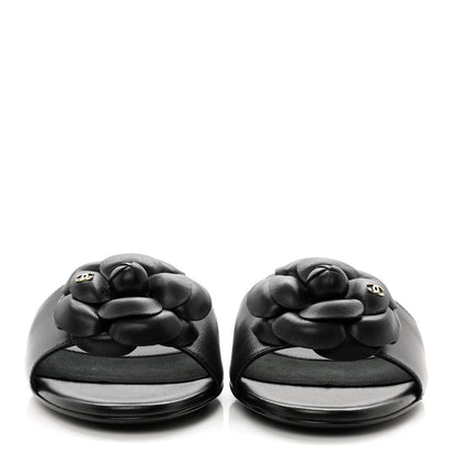 Chanel Lambskin Camellia CC Slides 36 Black 2 of 8