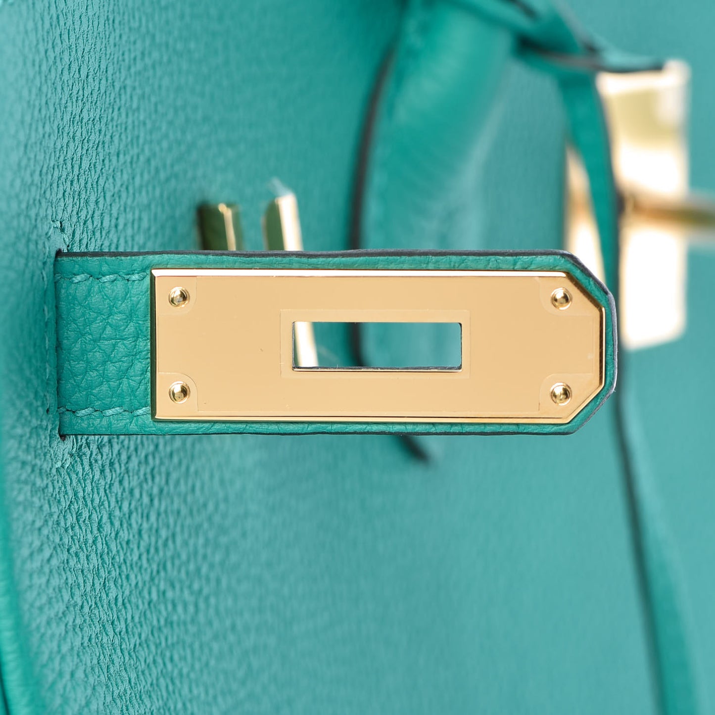 Togo Birkin 35 Vert Verone