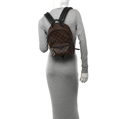 Louis Vuitton Monogram Palm Springs Backpack PM 2 of 12