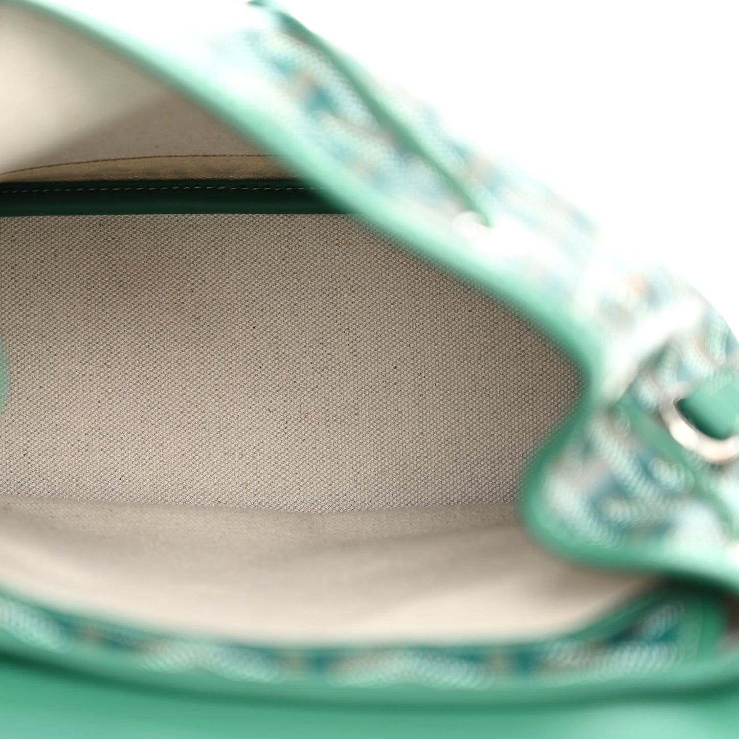 Goyardine Calfskin Mini Alpin Backpack Green