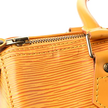 Louis Vuitton Epi Speedy 25 Tassil 13 of 16